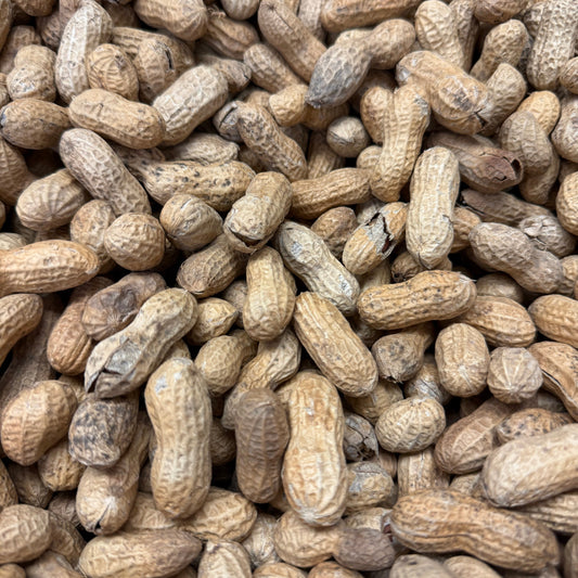 Roasted No Salt - Virginia Peanuts