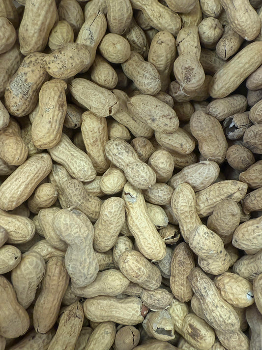 Raw In Shell Virginia Peanuts